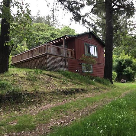 Avenue Of The Giants Caraway Cottage Miranda 外观 照片