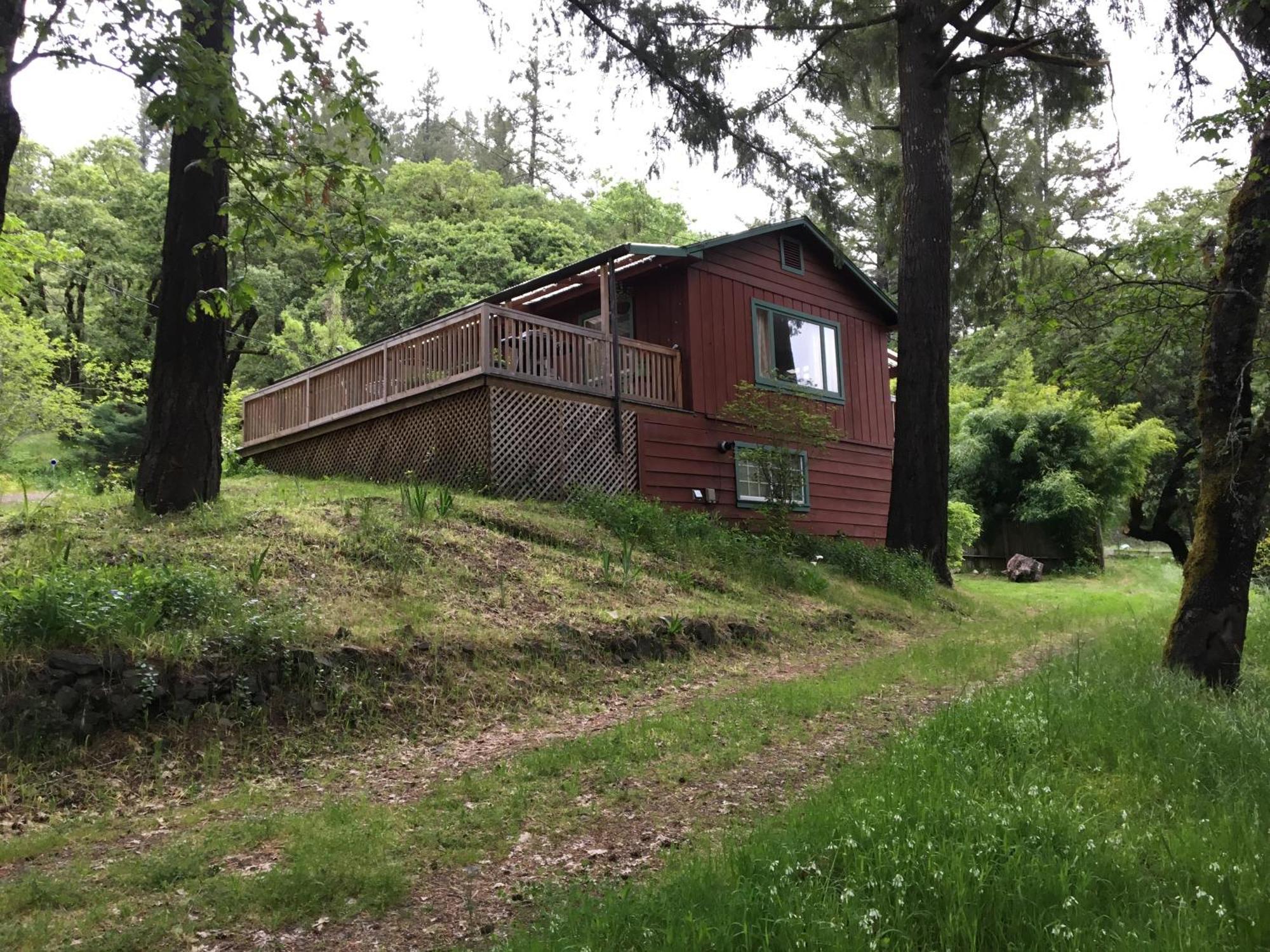 Avenue Of The Giants Caraway Cottage Miranda 外观 照片