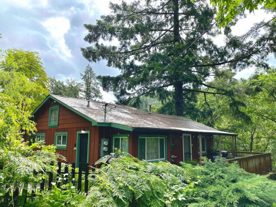 Avenue Of The Giants Caraway Cottage Miranda 外观 照片