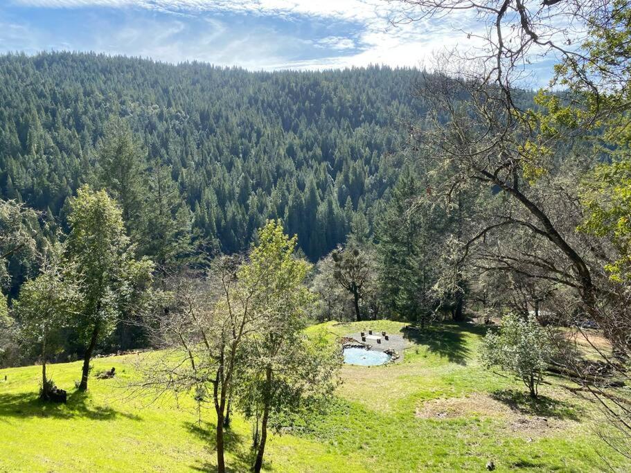 Avenue Of The Giants Caraway Cottage Miranda 外观 照片