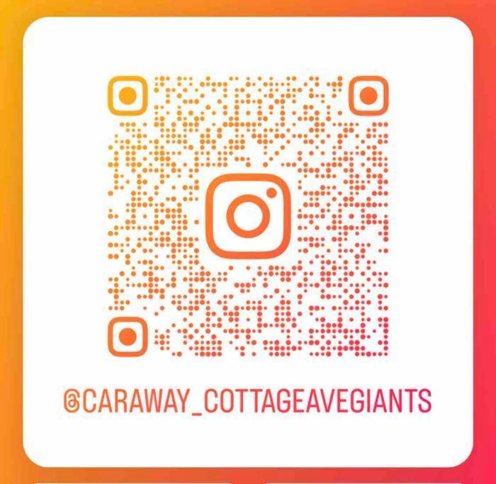Avenue Of The Giants Caraway Cottage Miranda 外观 照片
