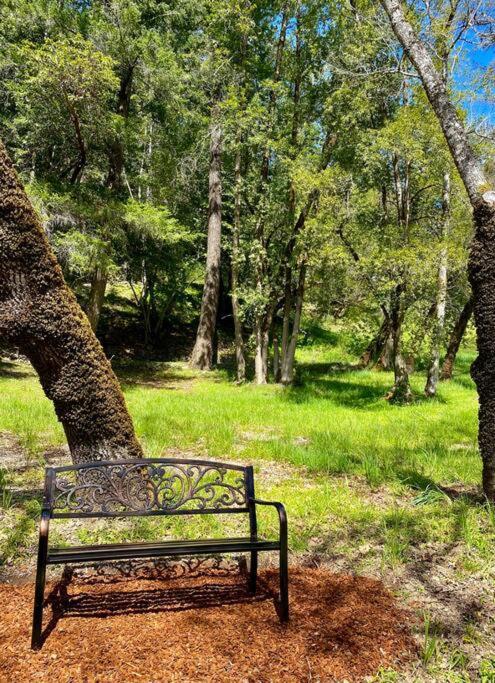 Avenue Of The Giants Caraway Cottage Miranda 外观 照片