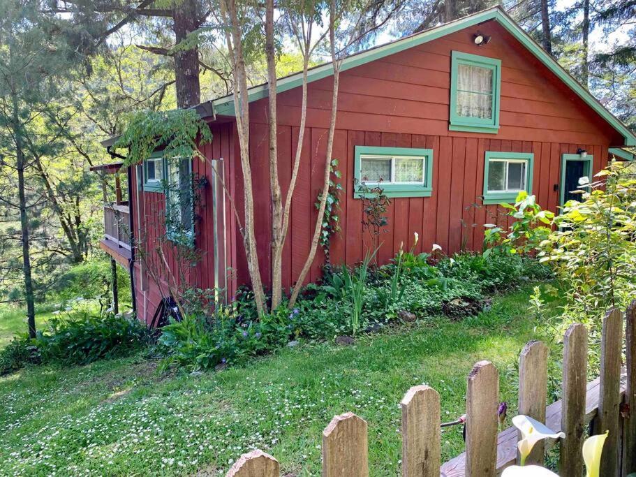 Avenue Of The Giants Caraway Cottage Miranda 外观 照片