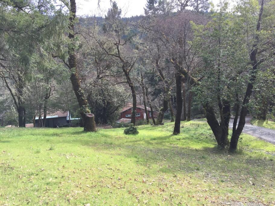 Avenue Of The Giants Caraway Cottage Miranda 外观 照片